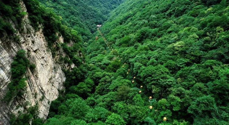 【阳光•关注】宁夏新建10个专家服务基地!涉及葡萄酒、奶牛、枸杞等
